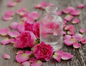 Rose Hydrosol